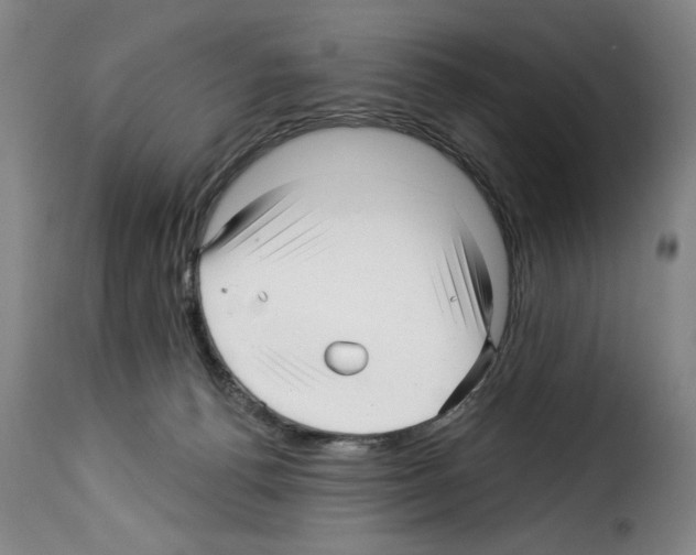 X0000114210176200911201031