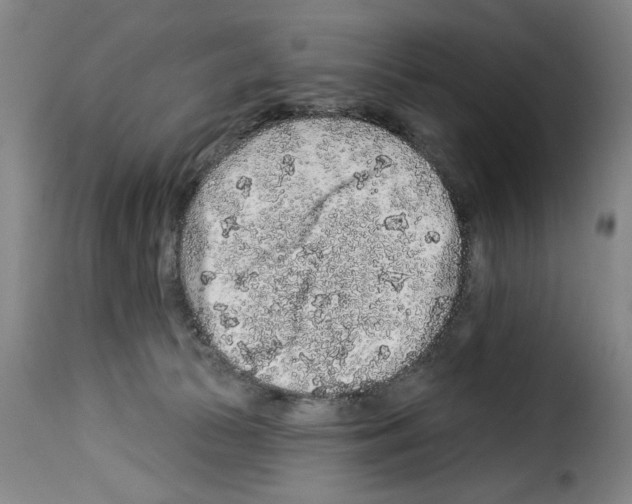 X0000114210177200911201031