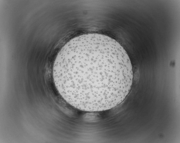 X0000114210179200911201031