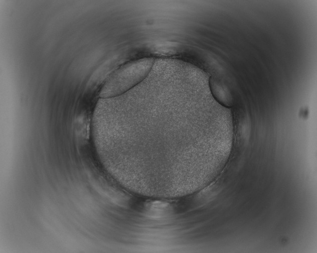 X0000114210180200911201031