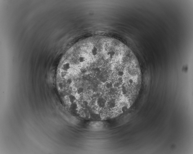 X0000114210181200911201031