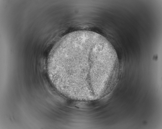 X0000114210182200911201031