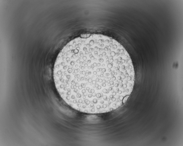 X0000114210183200911201031