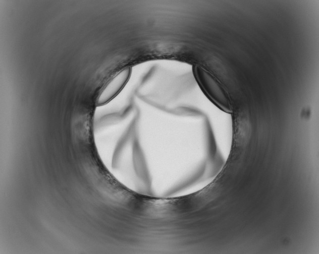 X0000114210184200911201031