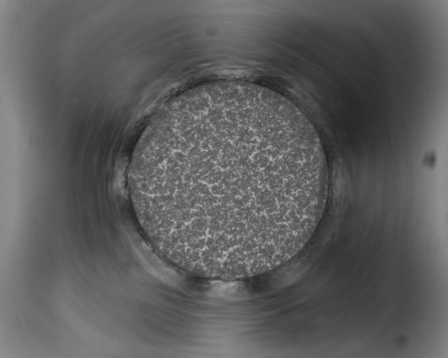 X0000114210185200911201031