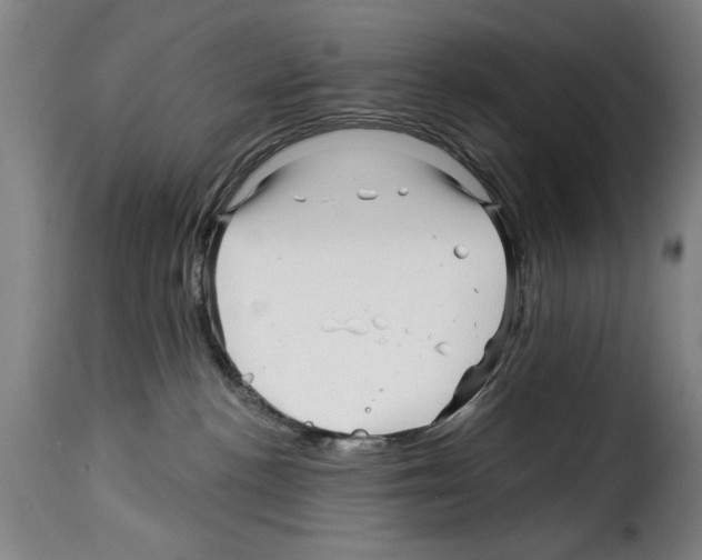 X0000114210188200911201031