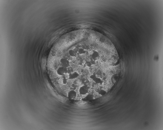X0000114210189200911201031