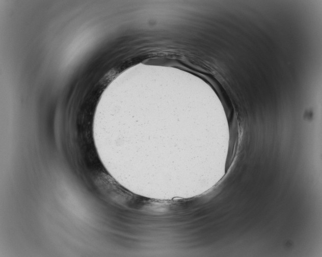 X0000114210190200911201031