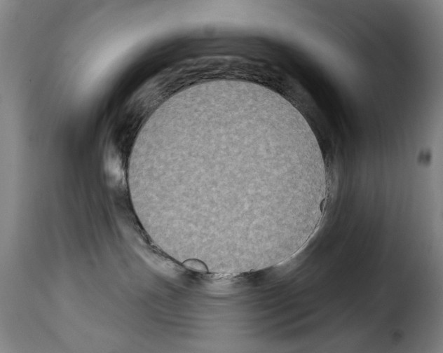 X0000114210191200911201031