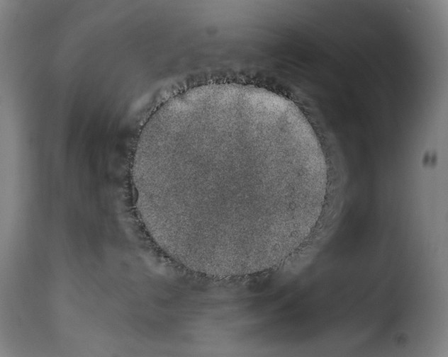 X0000114210192200911201031