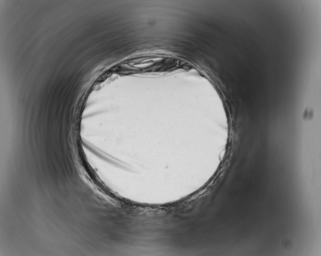 X0000114210193200911201030