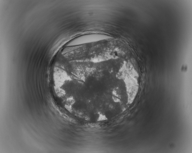 X0000114210194200911201030