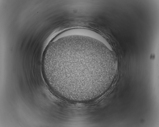 X0000114210195200911201030