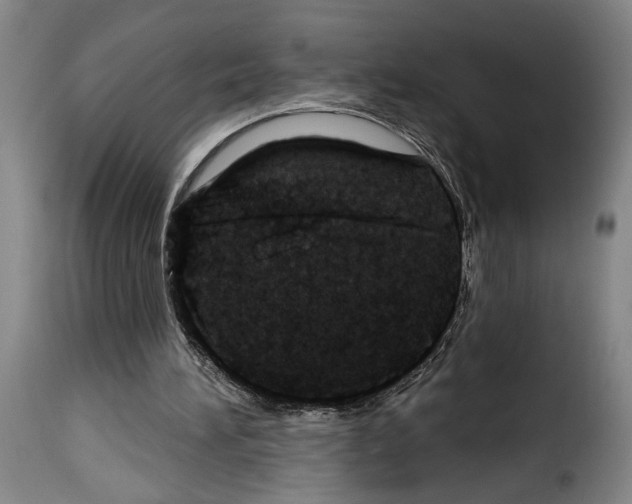 X0000114210196200911201030
