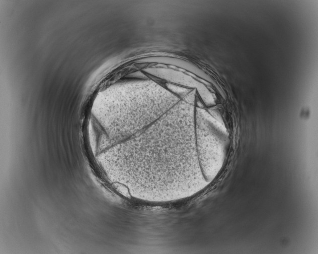 X0000114210197200911201030