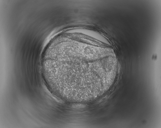 X0000114210198200911201030