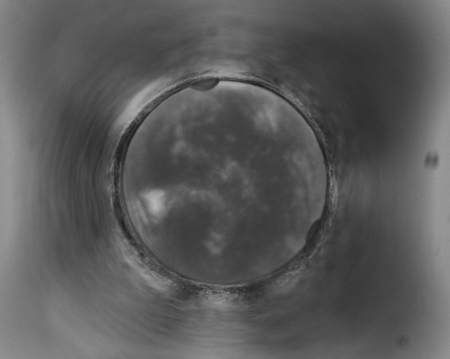 X0000114210199200911201030