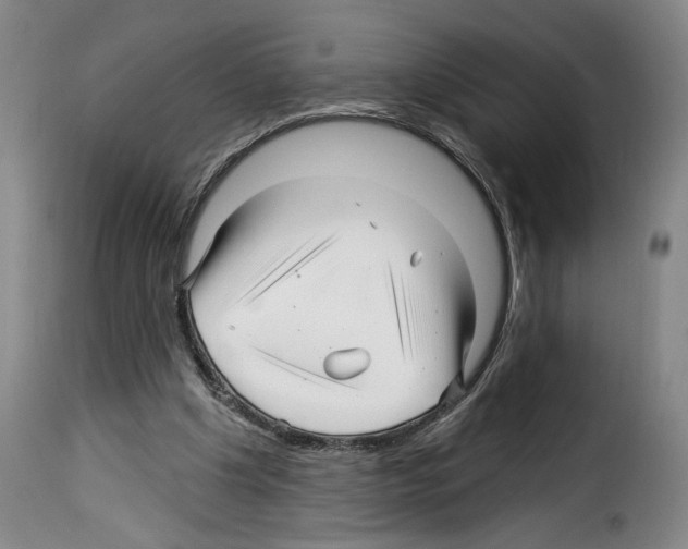 X0000114210201200911201030