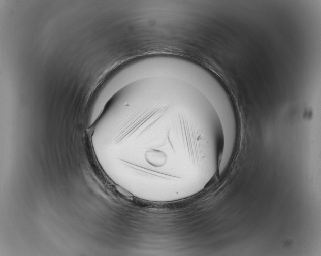 X0000114210203200911201030