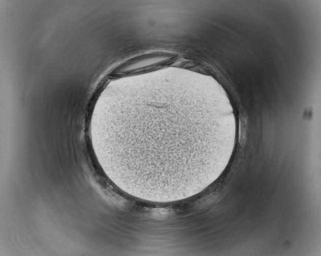 X0000114210204200911201030