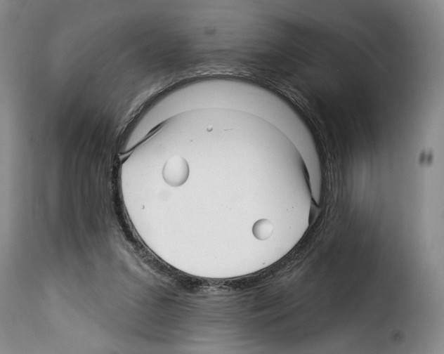 X0000114210207200911201030