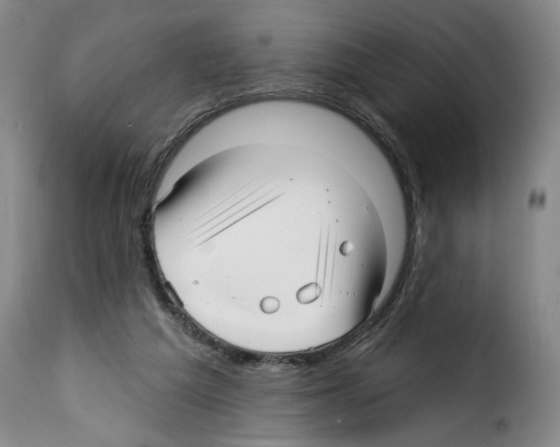 X0000114210209200911201030