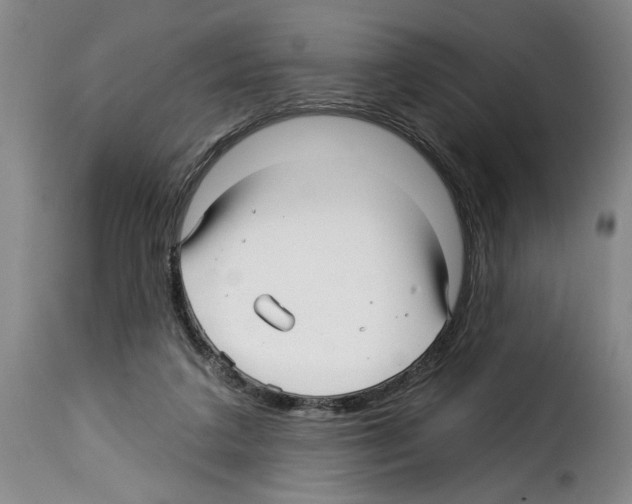 X0000114210211200911201030