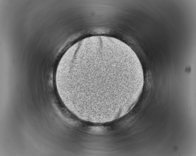 X0000114210212200911201030