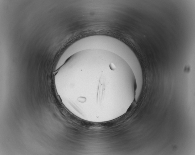 X0000114210213200911201030