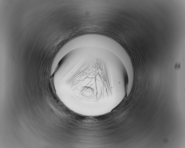 X0000114210215200911201030