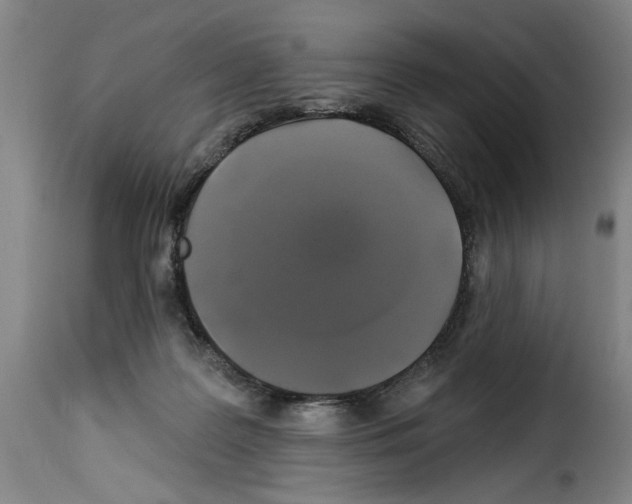 X0000114210219200911201030