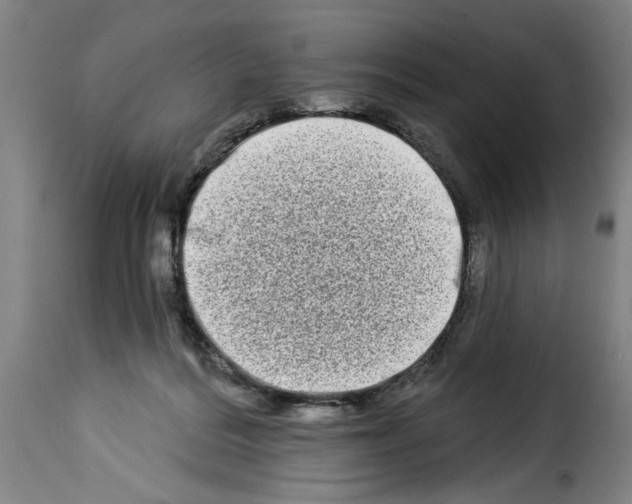 X0000114210220200911201030