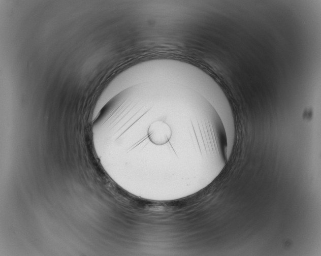 X0000114210221200911201030