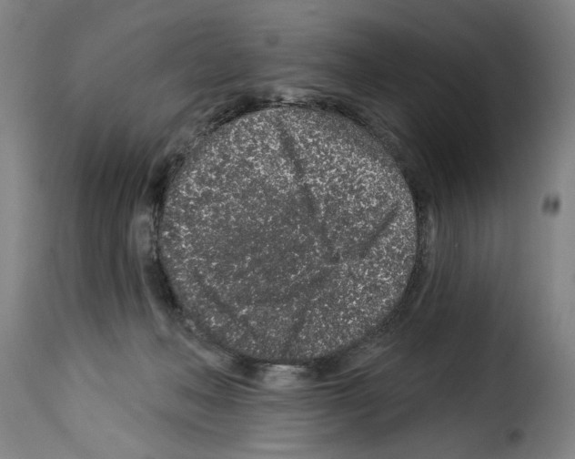 X0000114210222200911201030