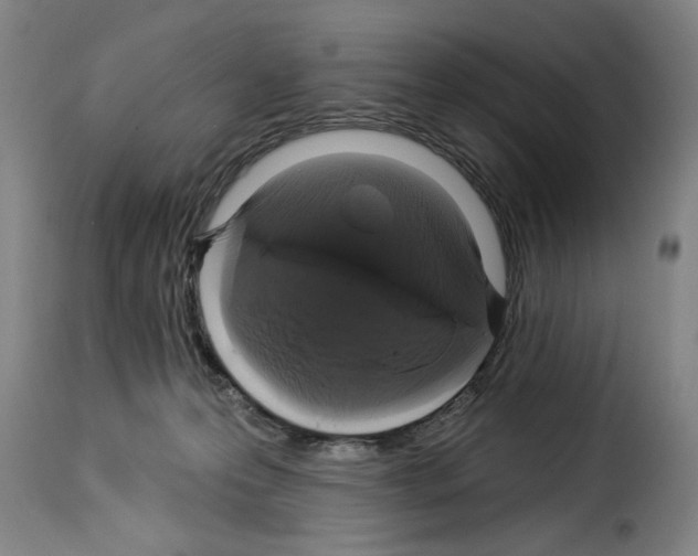 X0000114210223200911201030
