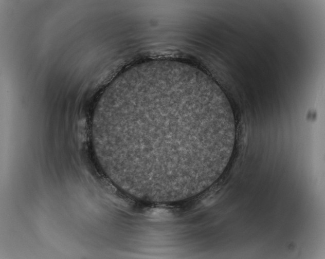 X0000114210224200911201030