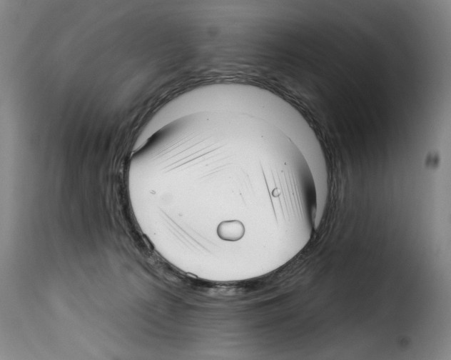X0000114210225200911201030