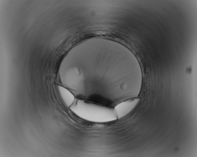 X0000114210227200911201030