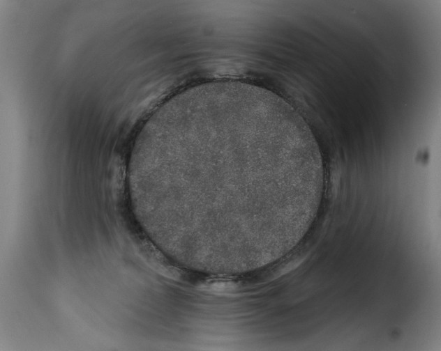 X0000114210228200911201030