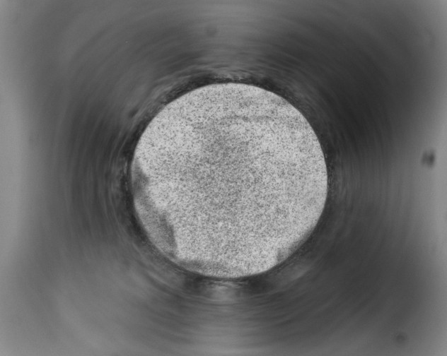 X0000114210229200911201030