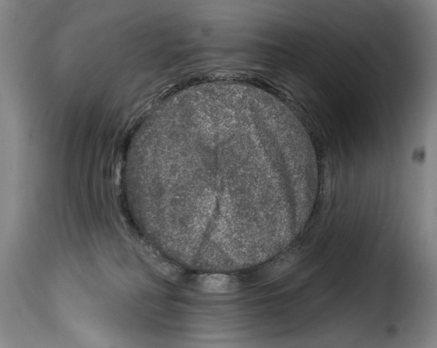 X0000114210230200911201030