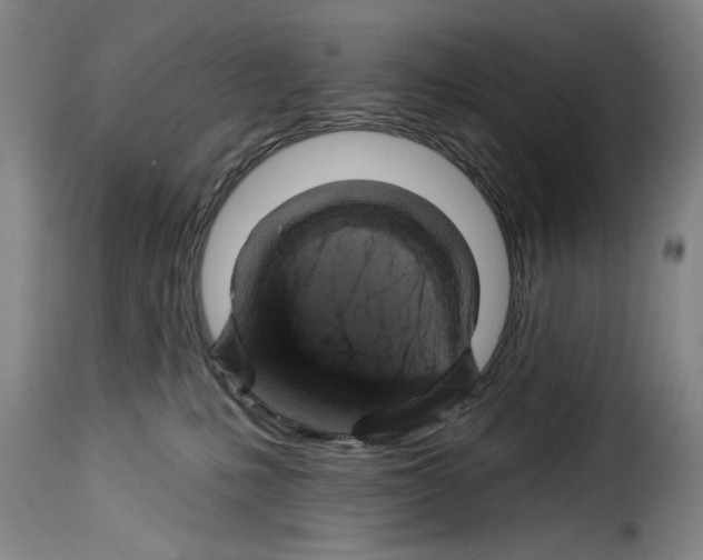 X0000114210231200911201030