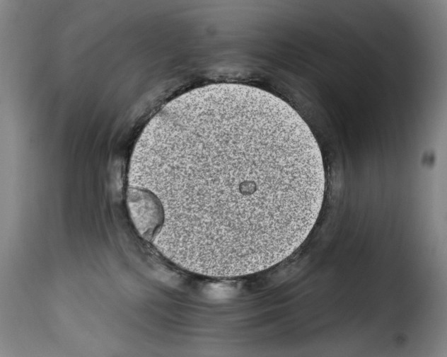 X0000114210232200911201030
