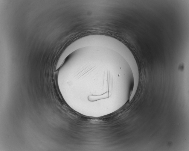 X0000114210233200911201029