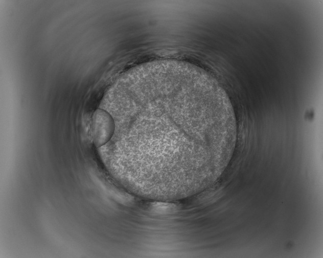 X0000114210234200911201029