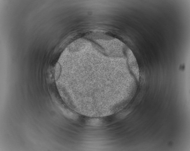 X0000114210237200911201029