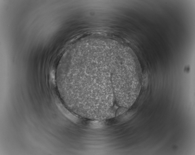 X0000114210238200911201029