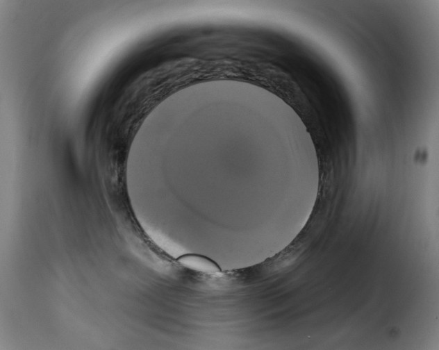 X0000114210239200911201029