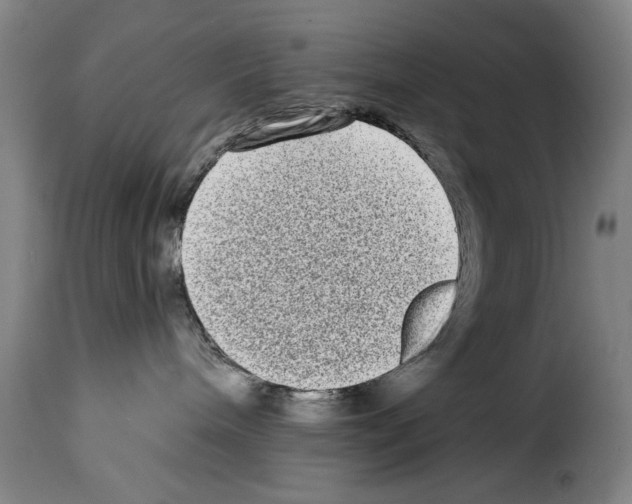 X0000114210240200911201029