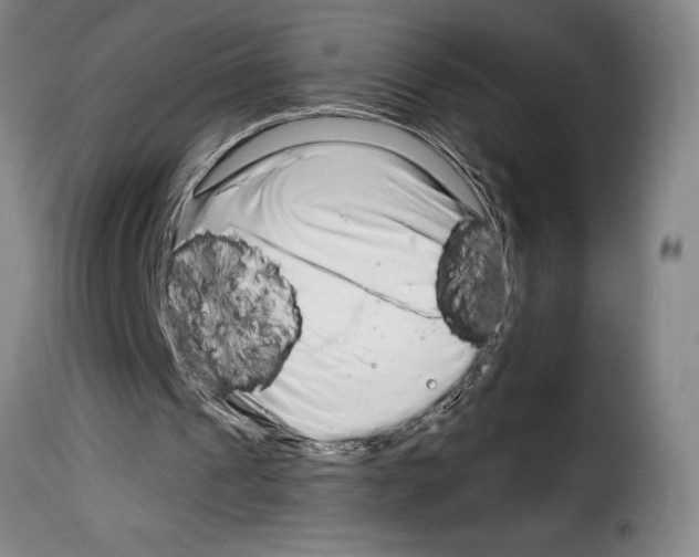 X0000114210241200911201029